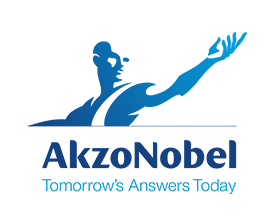Divergent Insights- Client- Akzo Nobel